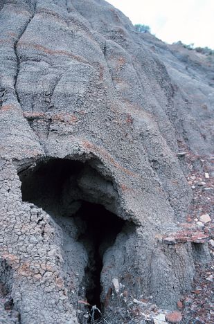 Exit of an erosional pipe in the Sentinel Butte Formation in badland topography in Billings County. Opening is about two feet wide.